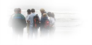 Students learning on the beach